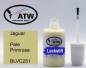 Preview: Jaguar, Pale Primrose, BLVC251: 20ml Lackstift, von ATW Autoteile West.